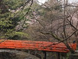 <figcaption>桜も咲き始めました。</figcaption>