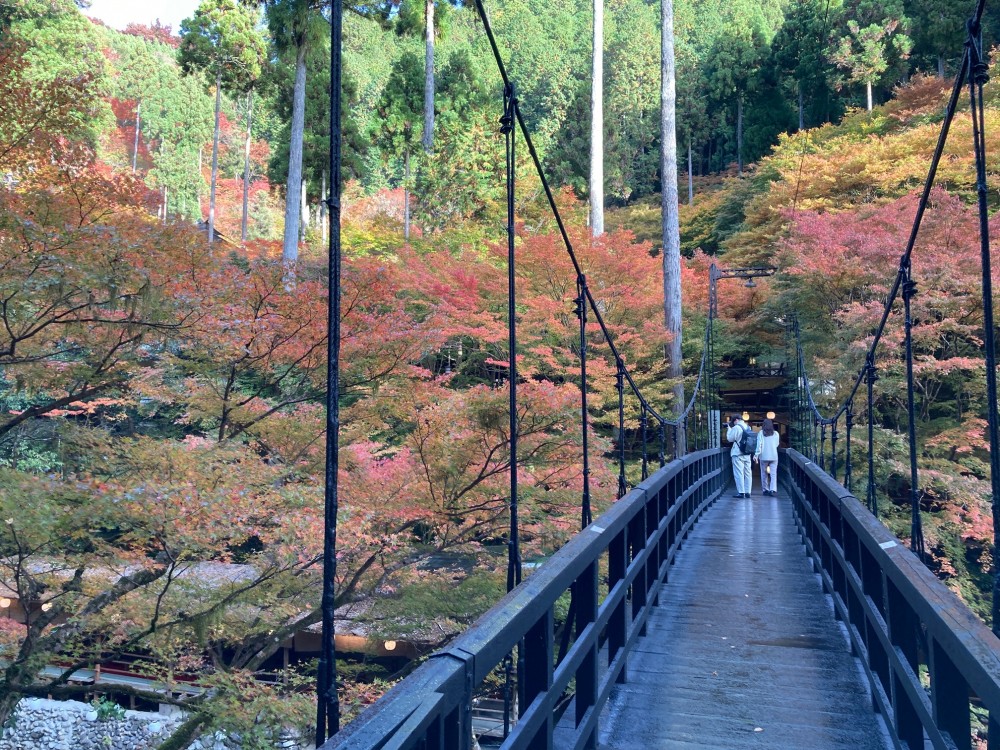 <figcaption>清滝川沿いの紅葉。</figcaption>
