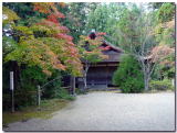 <figcaption>神護寺 大師堂のもみじ</figcaption>