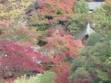 <figcaption>西明寺境内の紅葉。</figcaption>
