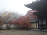 <figcaption>朝もやに煙る神護寺の紅葉。</figcaption>