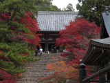 <figcaption>紅葉真っ盛りの神護寺の金堂。</figcaption>