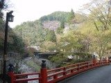 <figcaption>高雄橋から見る青紅葉と三つ葉山つつじ。</figcaption>
