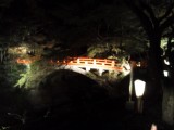 <figcaption>ライトアップされて浮かび上る、西明寺の指月橋。</figcaption>