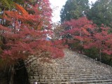<figcaption>神護寺の金堂への階段の紅葉。</figcaption>
