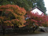 <figcaption>神護寺境内の紅葉。</figcaption>