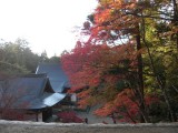 <figcaption>神護寺の金堂から見た紅葉です。</figcaption>