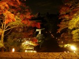 <figcaption>紅葉が始まりライトアップされた神護寺金堂からの眺め。</figcaption>