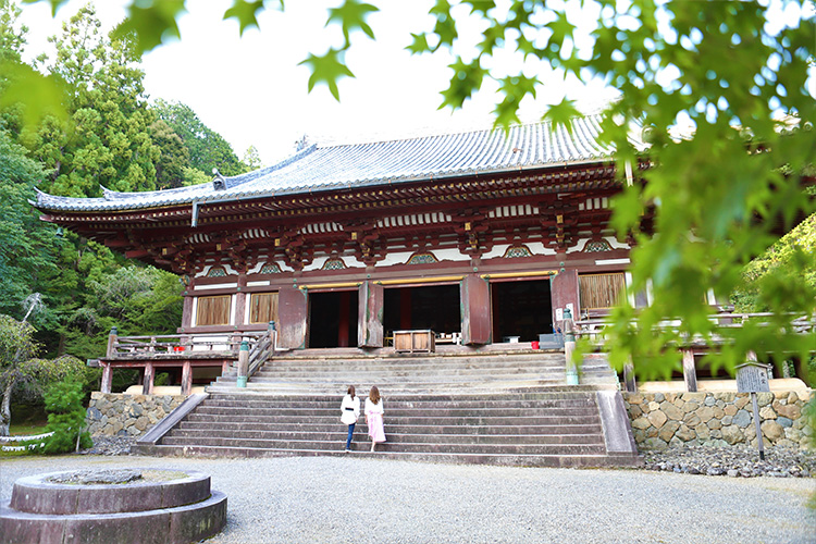 Takaosan Jingoji Temple