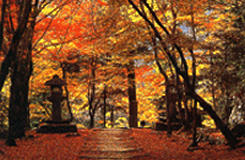 Toganoosan Kosanji Temple